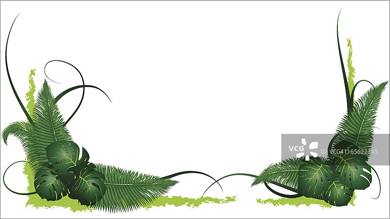 丛林装饰品图片素材