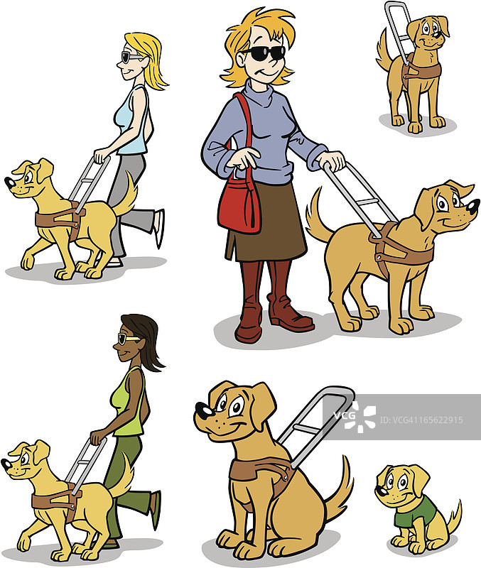 导盲犬图片素材