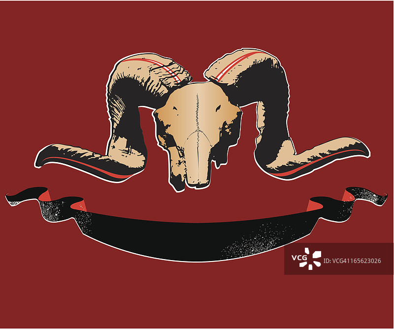 公羊头骨图片素材