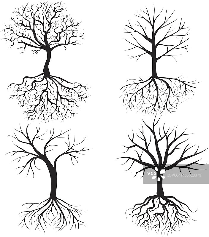 冬天的树图片素材