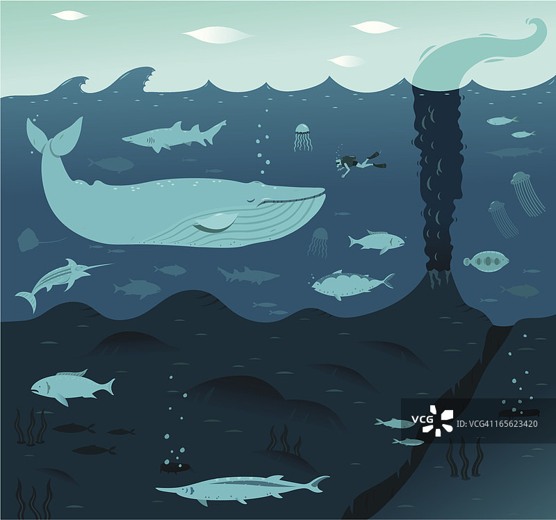 深蓝鲸鱼图片素材