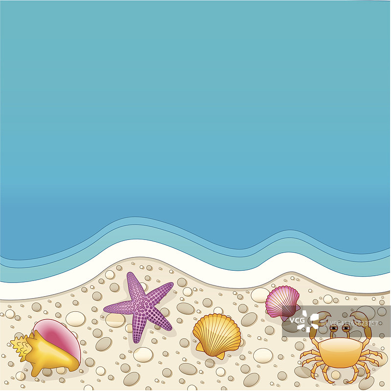 海滩上的贝壳图片素材