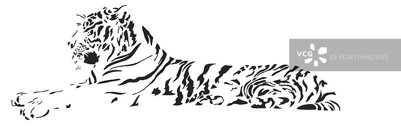 老虎矢量图图片素材