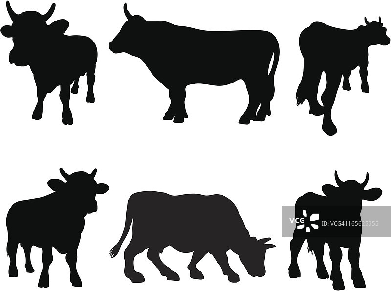 公牛轮廓剪影合集图片素材