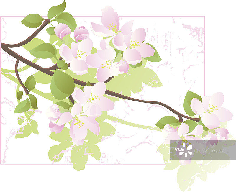 苹果树花朵彩色绘画图片素材