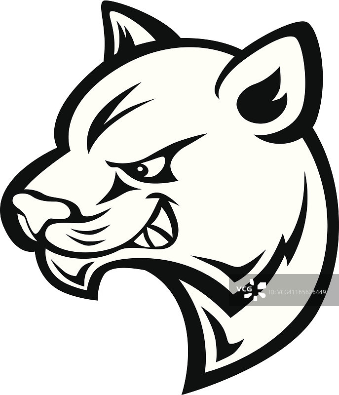 猎豹头部图片素材