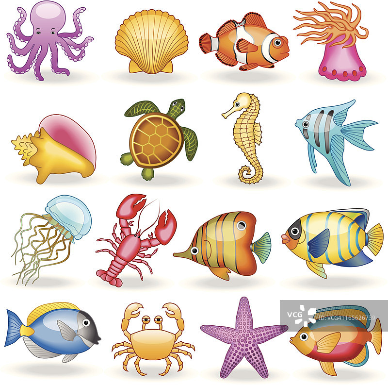 海洋生物图片素材