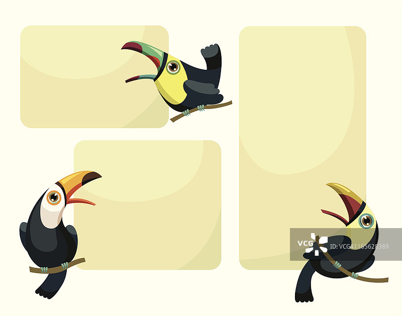 巨嘴鸟丛林相框图片素材