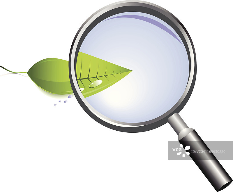 放大镜图片素材