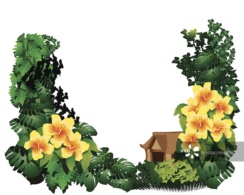 夏威夷风光图片素材