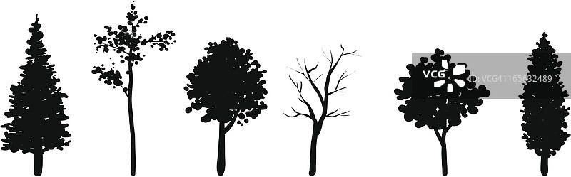 树木合集图片素材