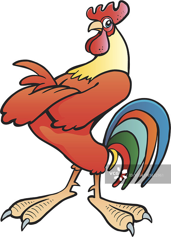 公鸡图片素材