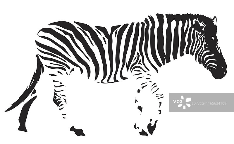 黑色线条斑马图片素材