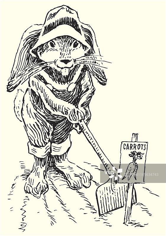 兔子种植胡萝卜图片素材