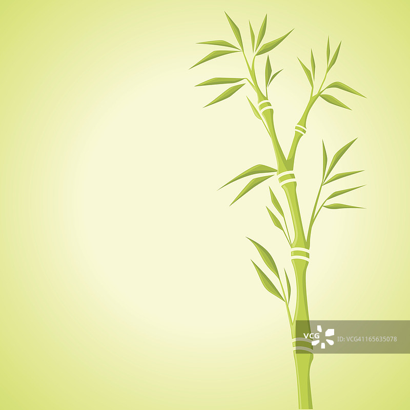 竹子图片素材