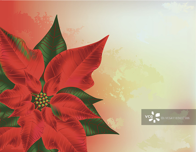 抽象背景上的圣诞花图片素材