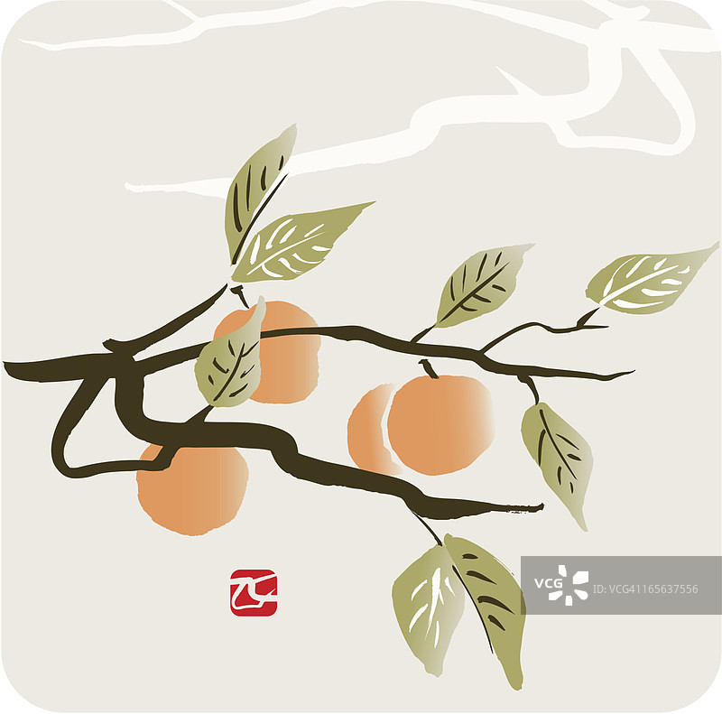 杏树枝图片素材