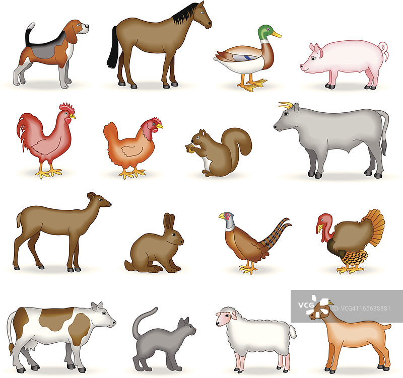 农场和乡村动物图片素材