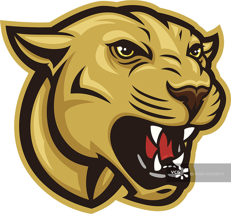 美洲狮头部图片素材