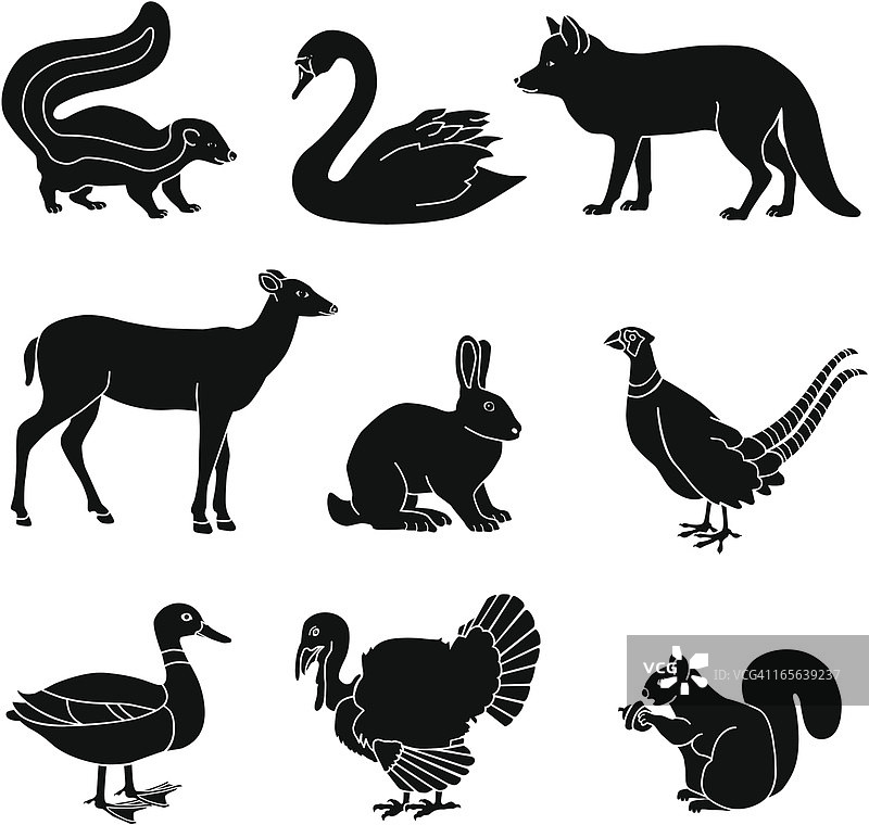 乡村动物图片素材