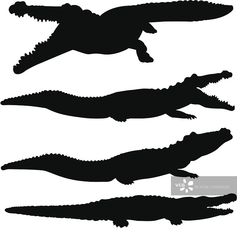 鳄鱼和短吻鳄剪影合集图片素材