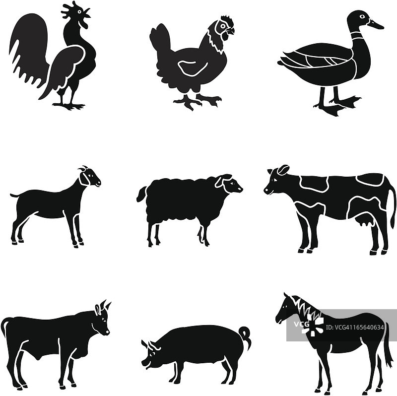 农家动物图片素材