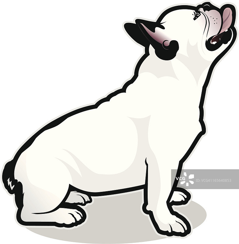 法国斗牛犬坐姿插画图片素材