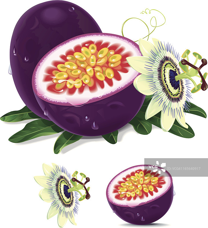 百香果图片素材