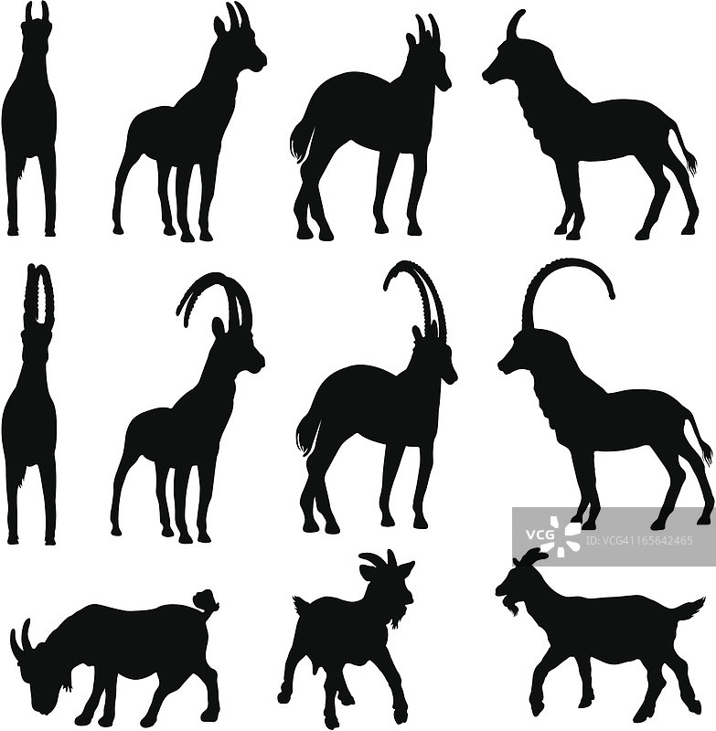 山羊轮廓剪影合集图片素材