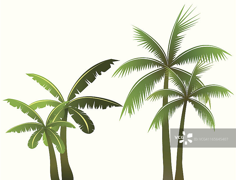 棕榈树矢量素材图片素材
