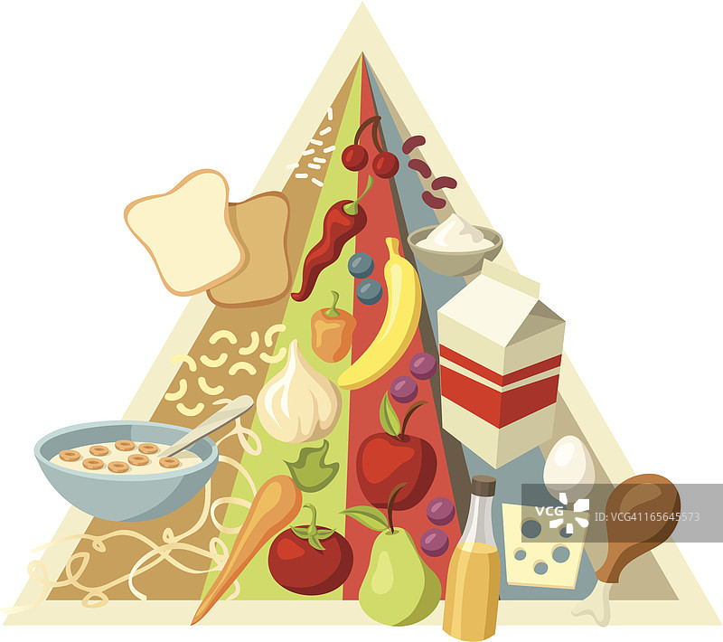 食物金字塔：全新竖版分组样式图片素材