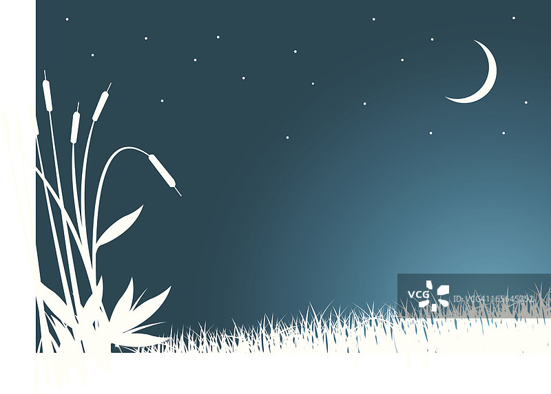 沼泽地夜景图片素材