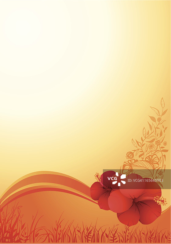 芙蓉花背景图片素材