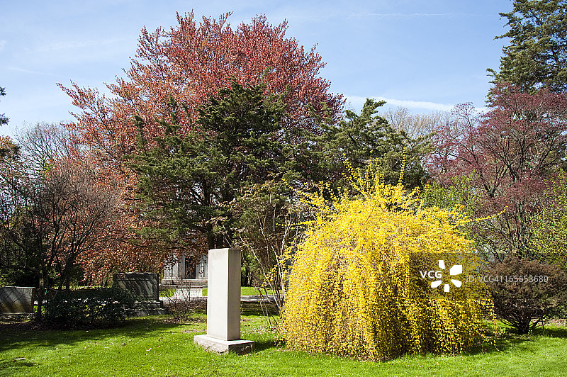 白色墓碑图片素材