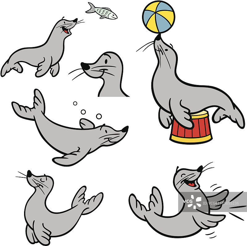 马戏团海豹图片素材