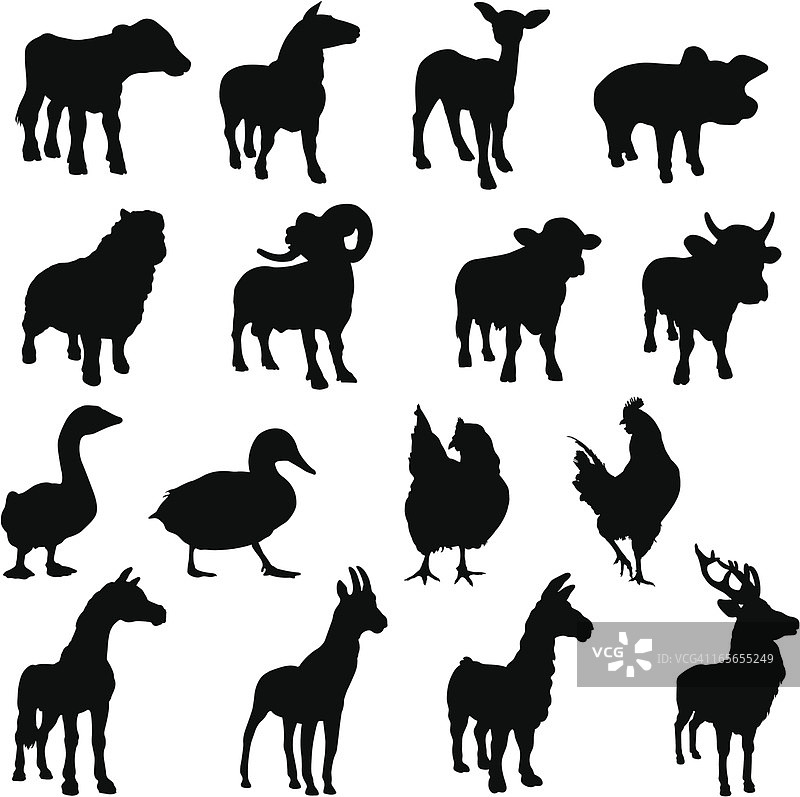 农场动物剪影图片素材