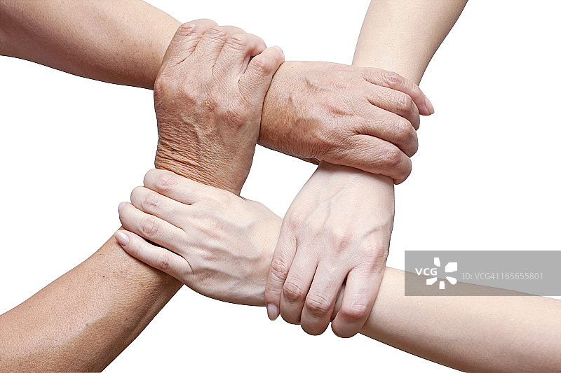 团队合作概念：白底上的手紧握在一起图片素材