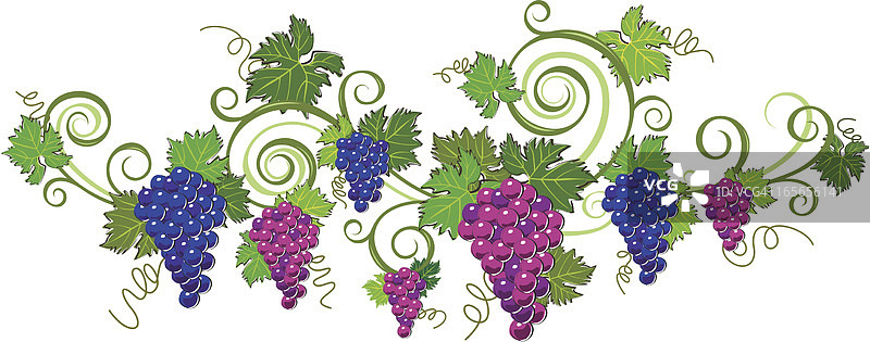葡萄边框图片素材