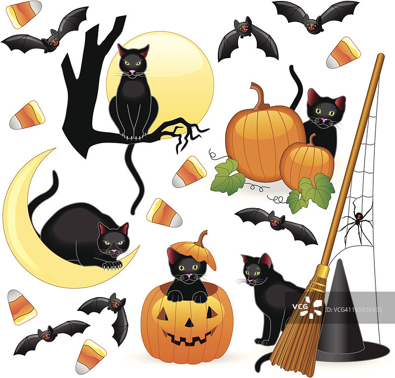 万圣节猫咪图片素材