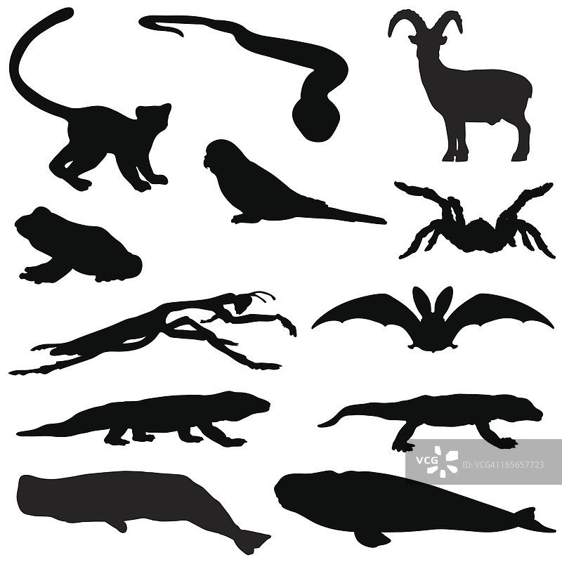 多种动物剪影图片素材