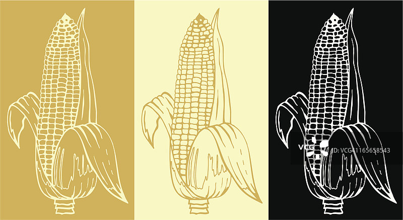 玉米图片素材