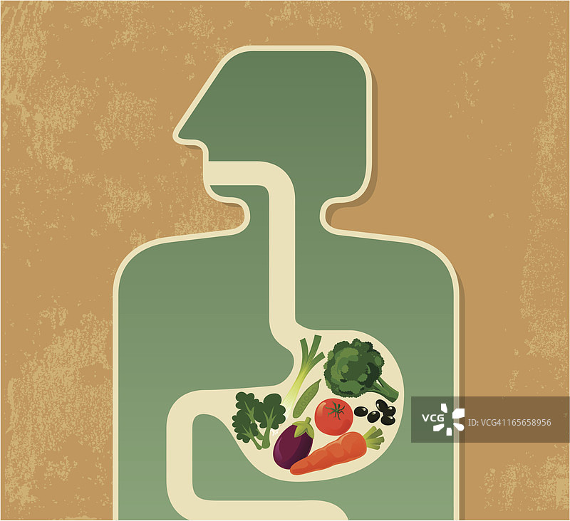 人体消化水果和蔬菜的插画图片素材