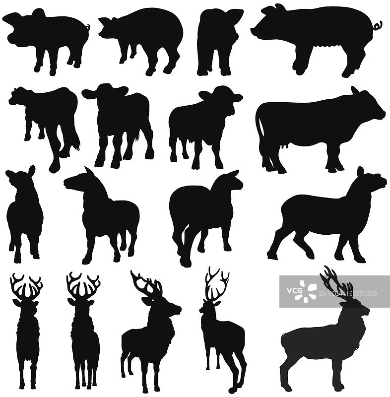 猪、牛、羊和鹿的轮廓剪影图片素材