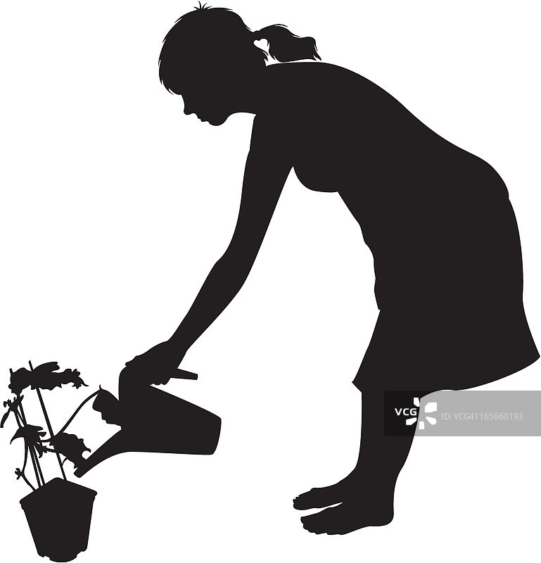 女人浇灌室内植物图片素材