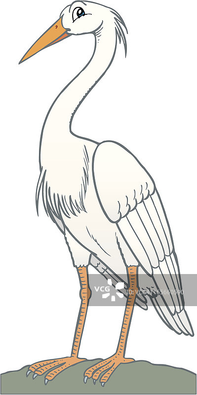 鹭图片素材