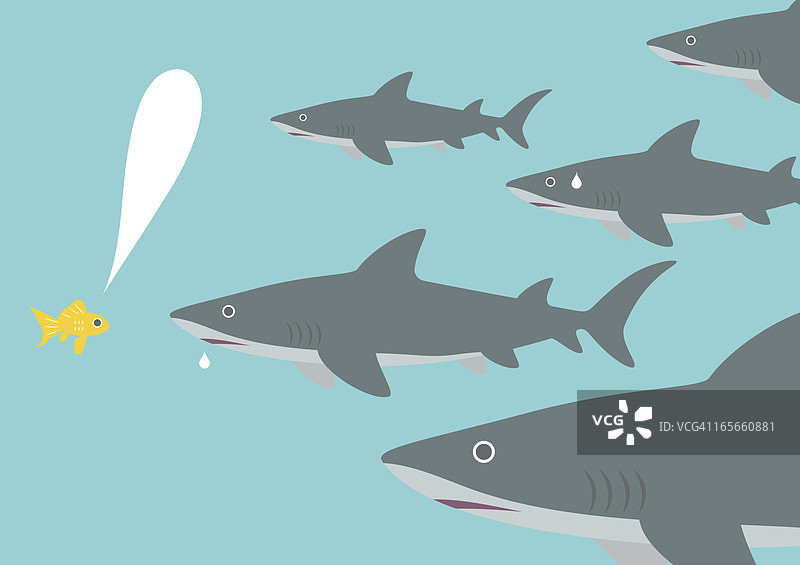 小鱼面对鲨鱼（勇气）图片素材