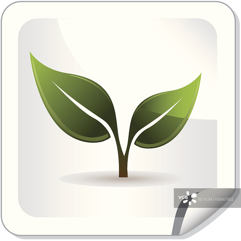 折叠纸上的绿色叶子图标图片素材