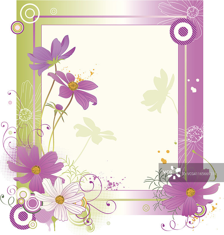 Cosmos Flower Cosmea 背景图片素材