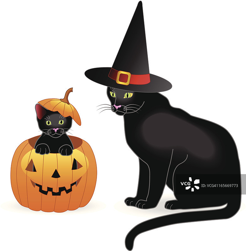 万圣节猫咪图片素材