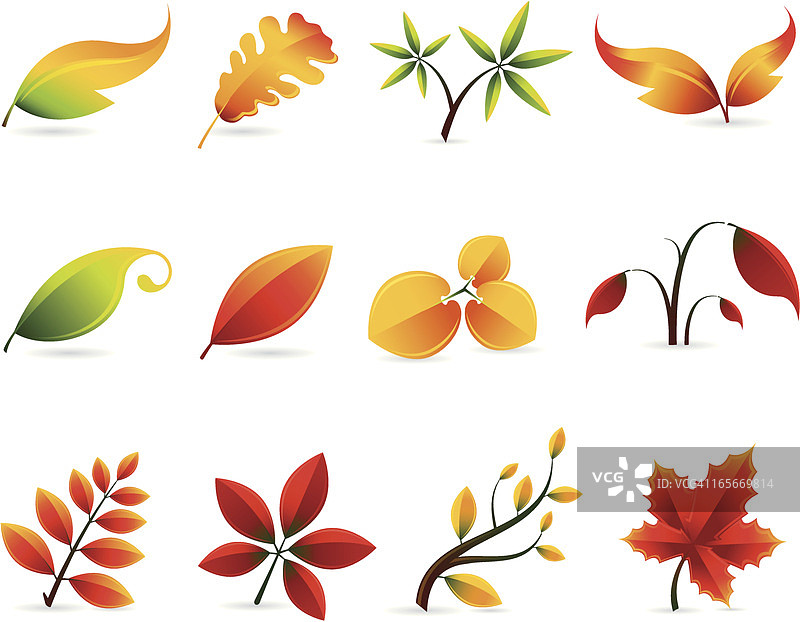 秋天的叶子图片素材